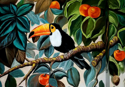 toucan