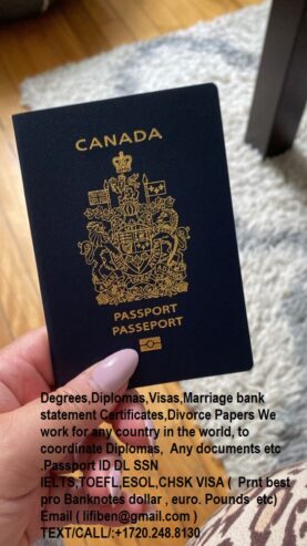 Passport ID DL SSN insurance, US visa, UK visa