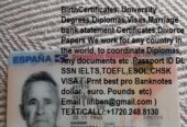 Passport ID DL SSN insurance, US visa