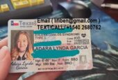 Passports,Drivers Licenses,ID Cards visa