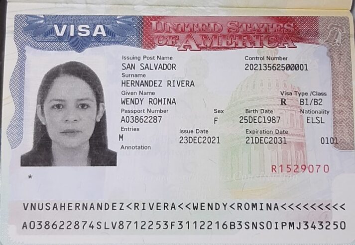 Passport ID DL SSN insurance, US visa