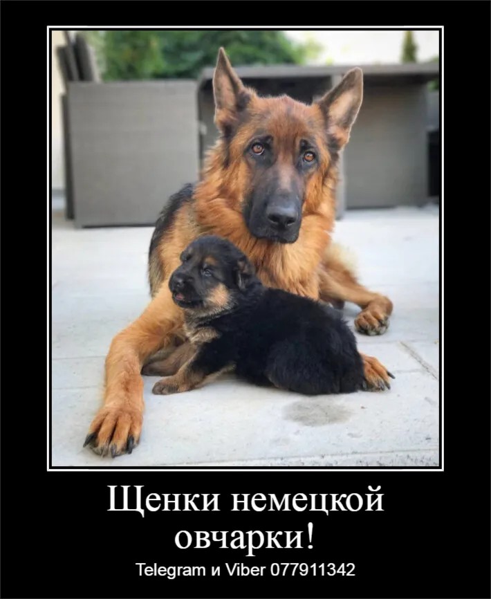 Давно ищете друга? Тогда вам точно к нам.