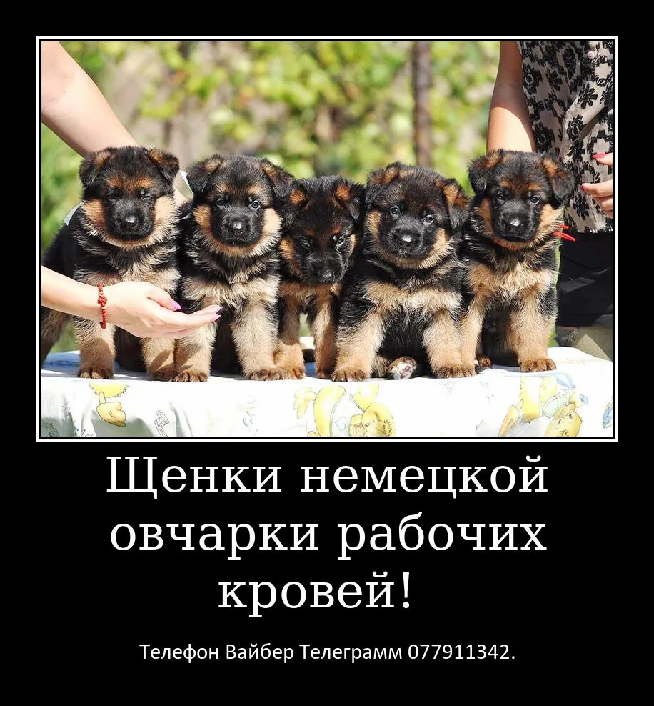 Давно ищете друга? Тогда вам точно к нам.