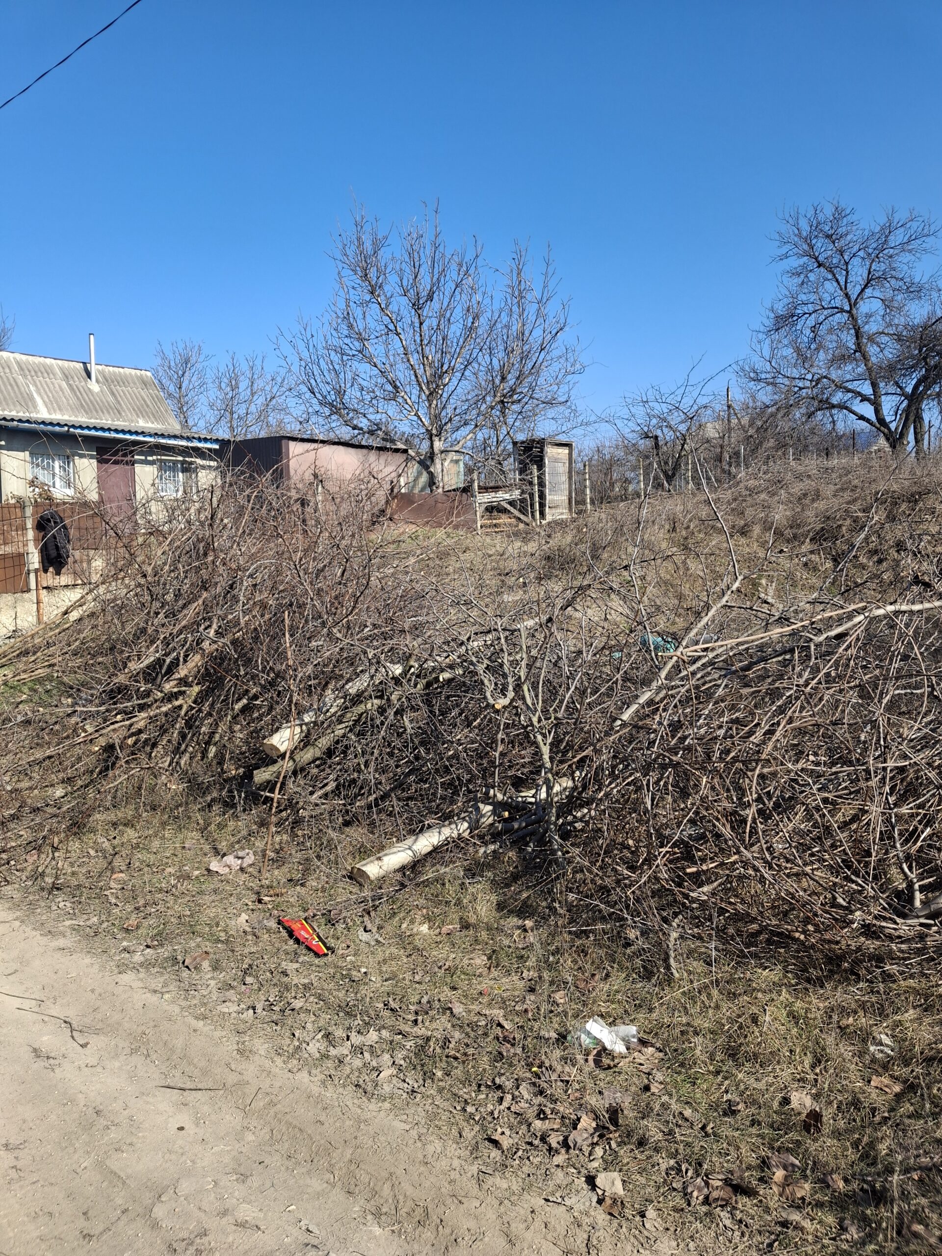 Oferim servicii de curățenie grădini