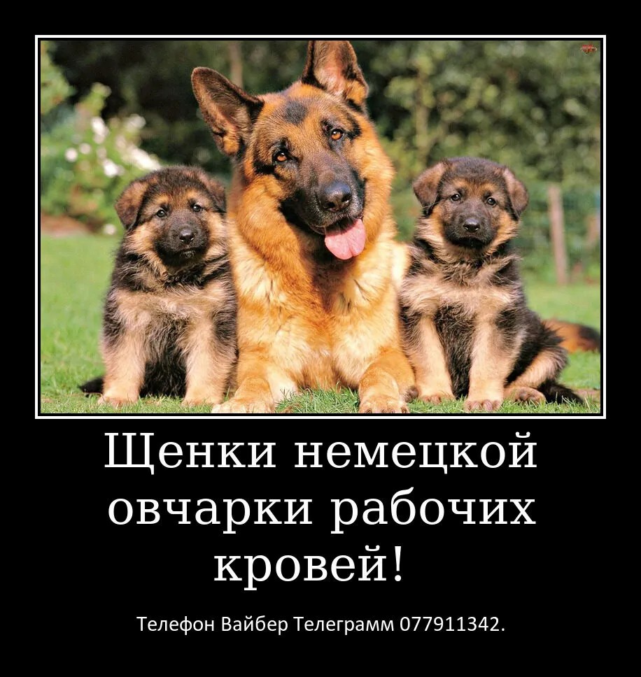 Давно ищете друга? Тогда вам точно к нам.