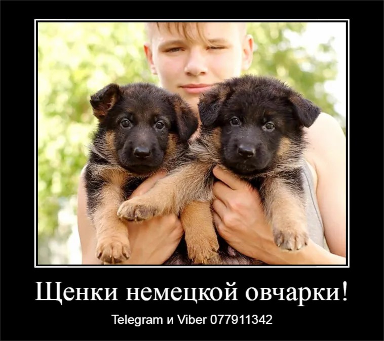 Давно ищете друга? Тогда вам точно к нам.