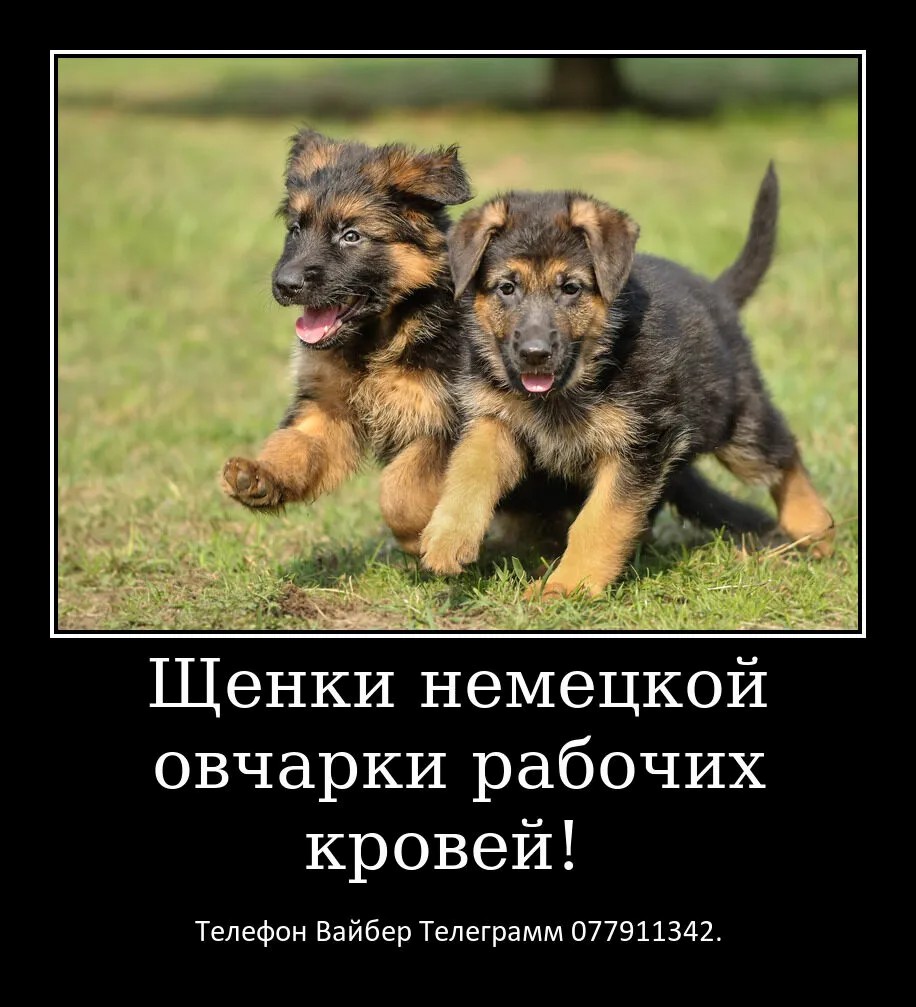 Давно ищете друга? Тогда вам точно к нам.