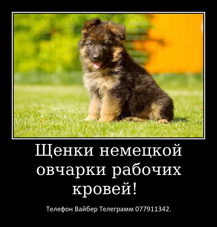 Давно ищете друга? Тогда вам точно к нам.