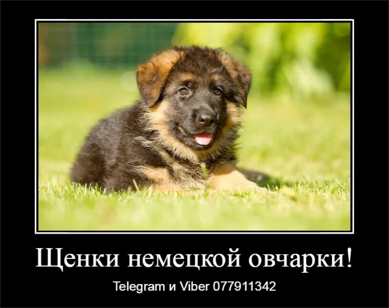 Давно ищете друга? Тогда вам точно к нам.