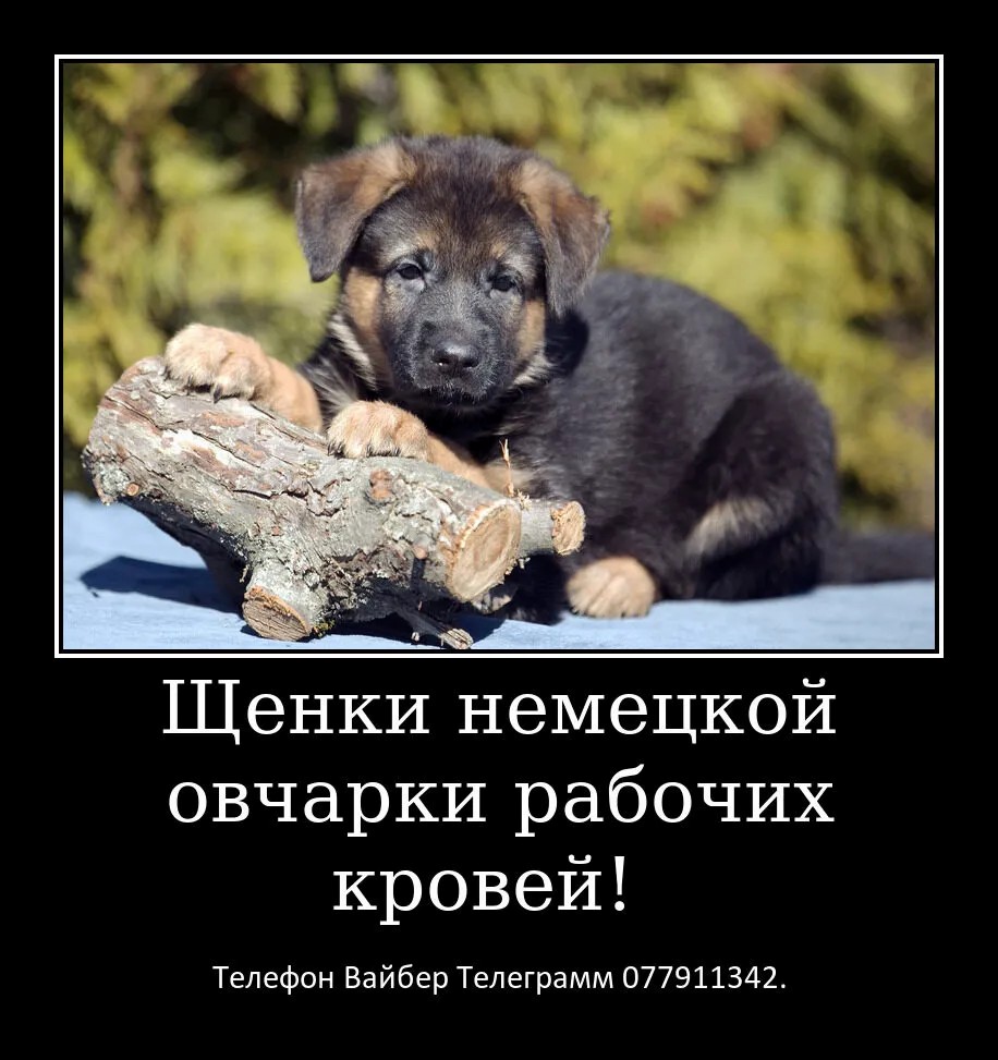 Давно ищете друга? Тогда вам точно к нам.