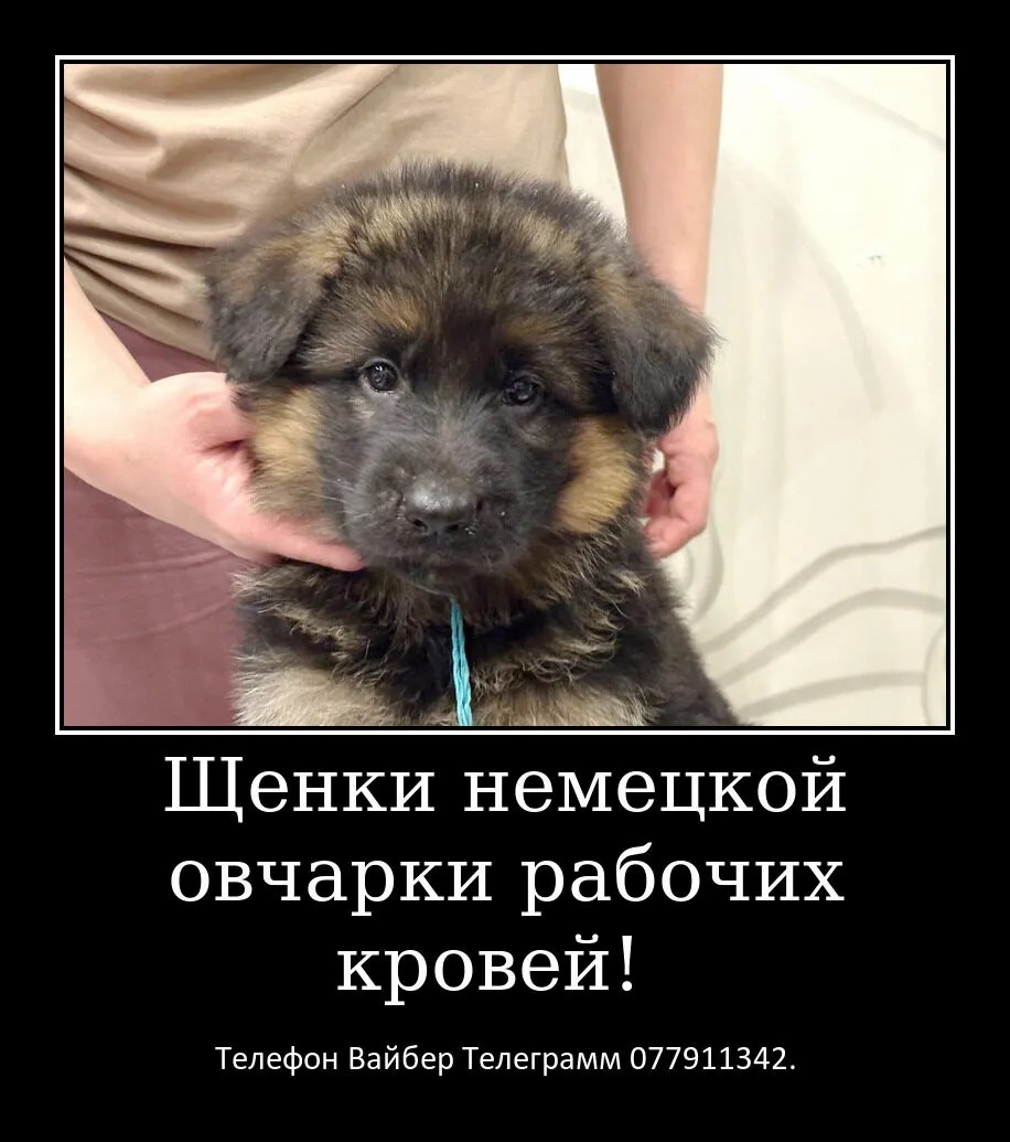 Давно ищете друга? Тогда вам точно к нам.