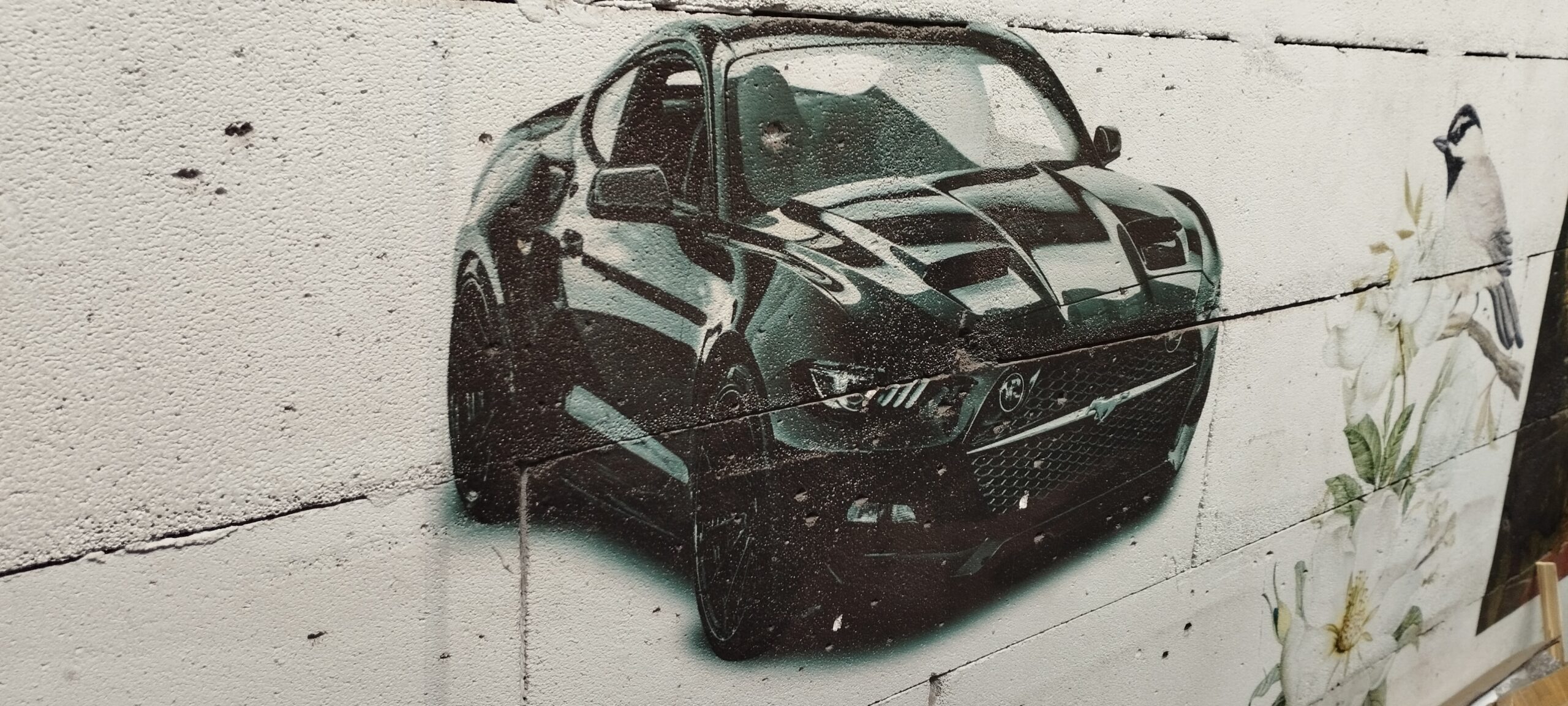 Дизайнерская роспись стен от wallprint.md