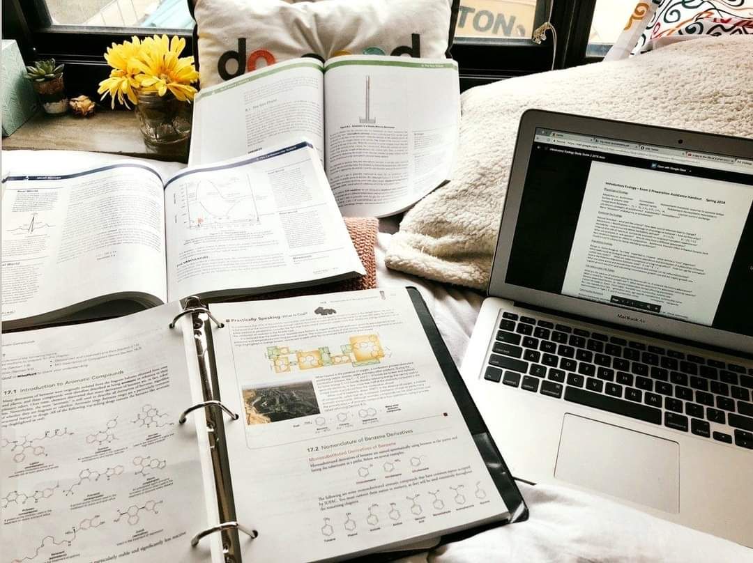 Teze de Master, Licenta, Teze de an