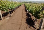Продам участок земли в селе Бульбоака