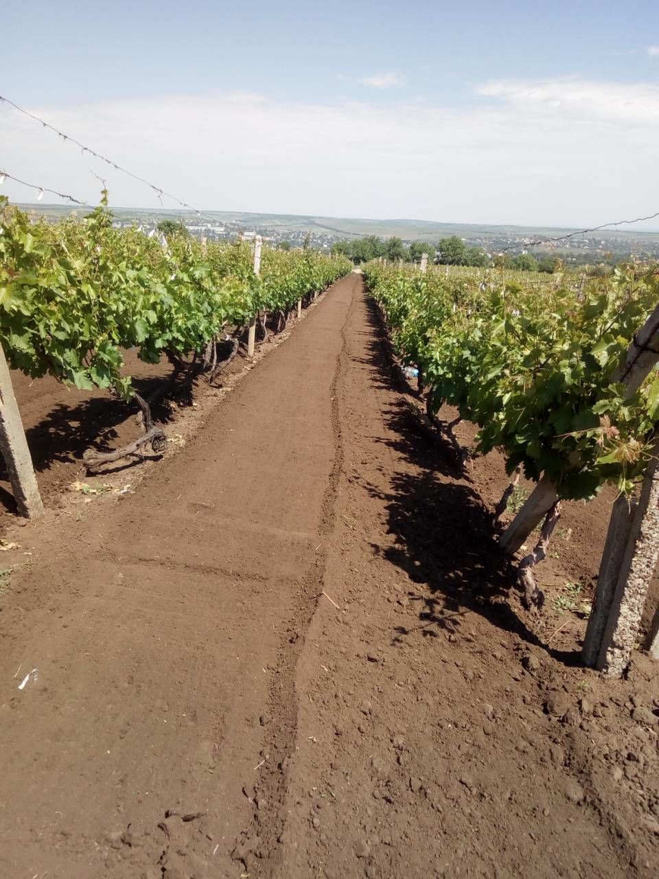 Продам участок земли в селе Бульбоака