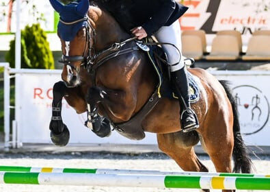 cheval4