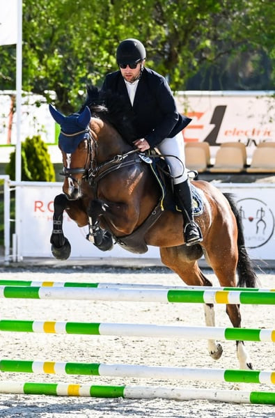 Тиффани — идеальная лошадь для ребенка