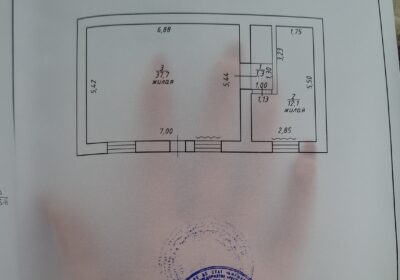 1000006113