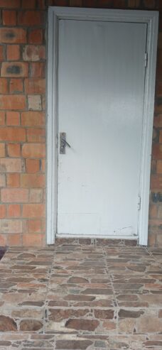 Дверь входная/Ușa exterior