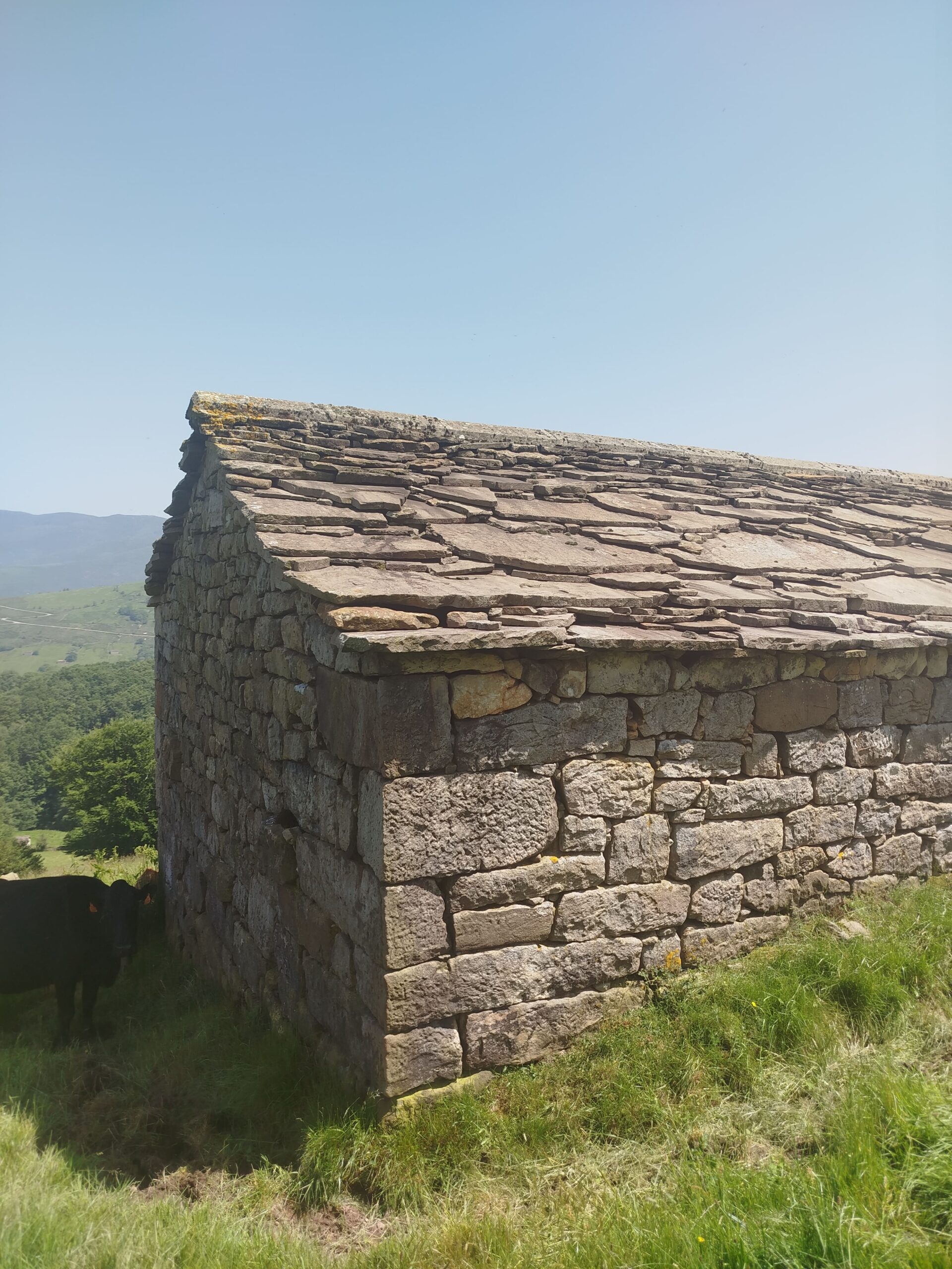 Ремонт двускатной крыши в домике 10 на 7м