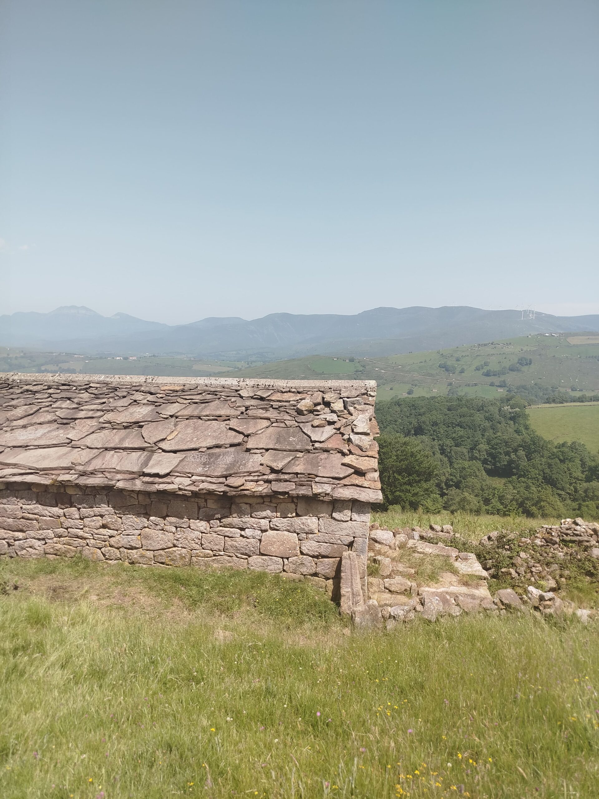 Ремонт двускатной крыши в домике 10 на 7м