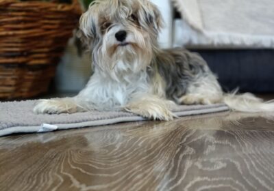 478132d6-d476-4e68-97c6-599b68547fc0