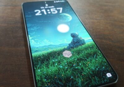 8c1915b8-909f-4d07-aa45-691e6a7ded6d