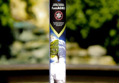 IMAGE-2025-10-03-090331