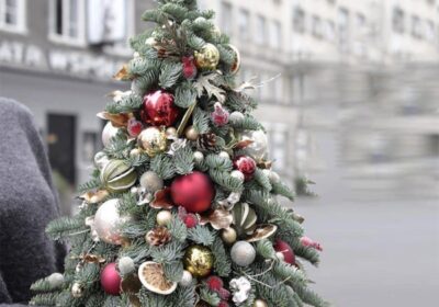 WhatsApp-Image-2022-11-14-at-16.45.10-2