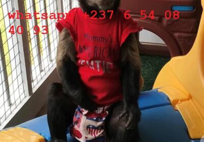 468530546_122165252108271241_4137190155377458553_n