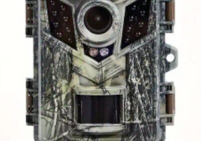 888bcf11-8c1c-4719-ab02-e8e43fe2059b