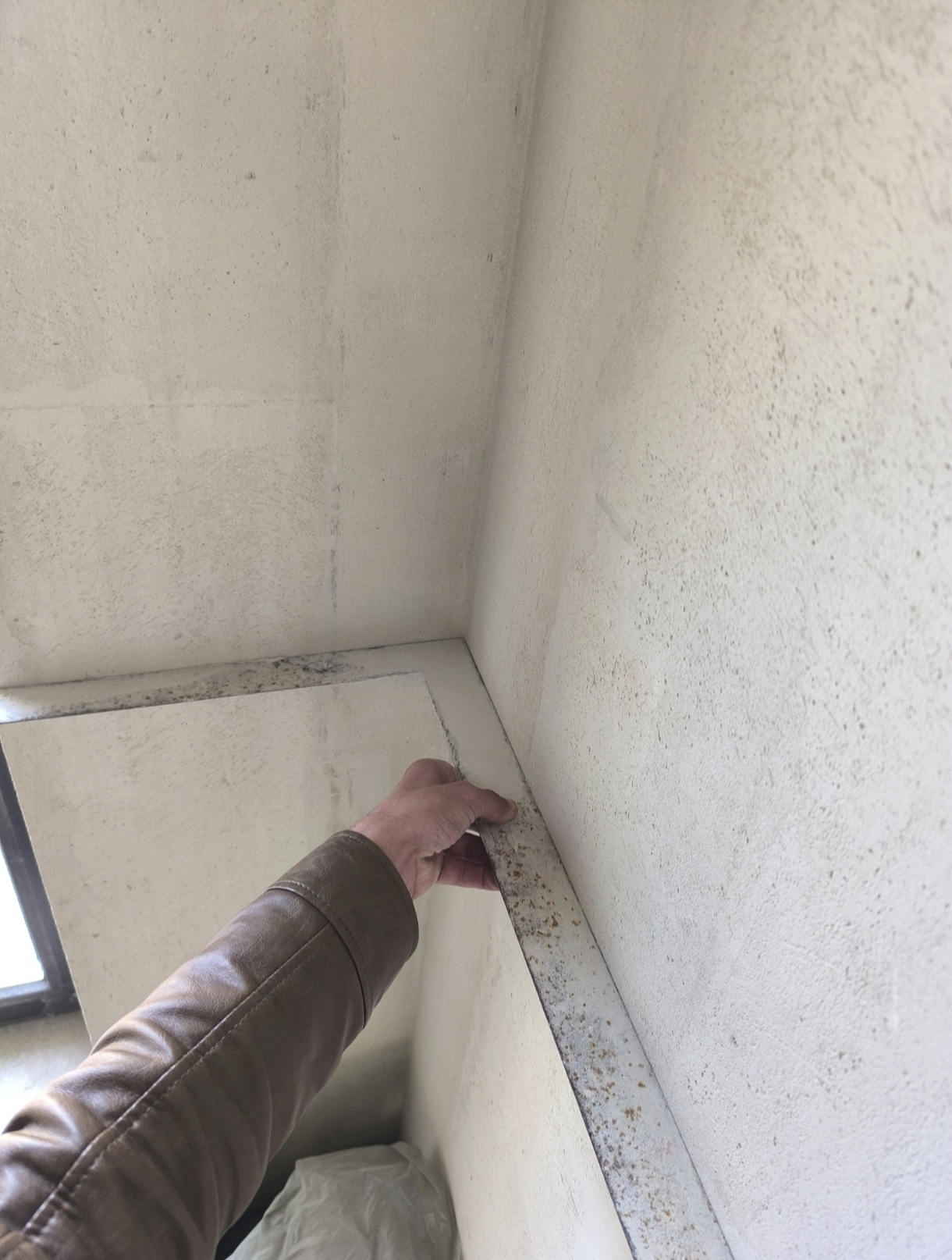 Профессиональные услуги штукатура , маляра .