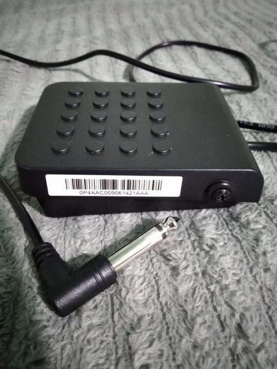 Casio PX-S1000 + SP-3 + USB + коробка | 8500 MDL |