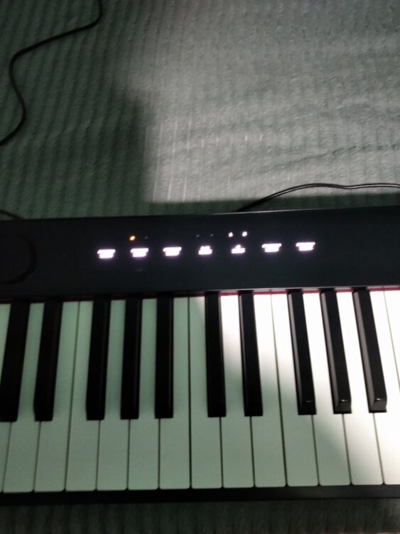 Casio PX-S1000 + SP-3 + USB + коробка | 8500 MDL |