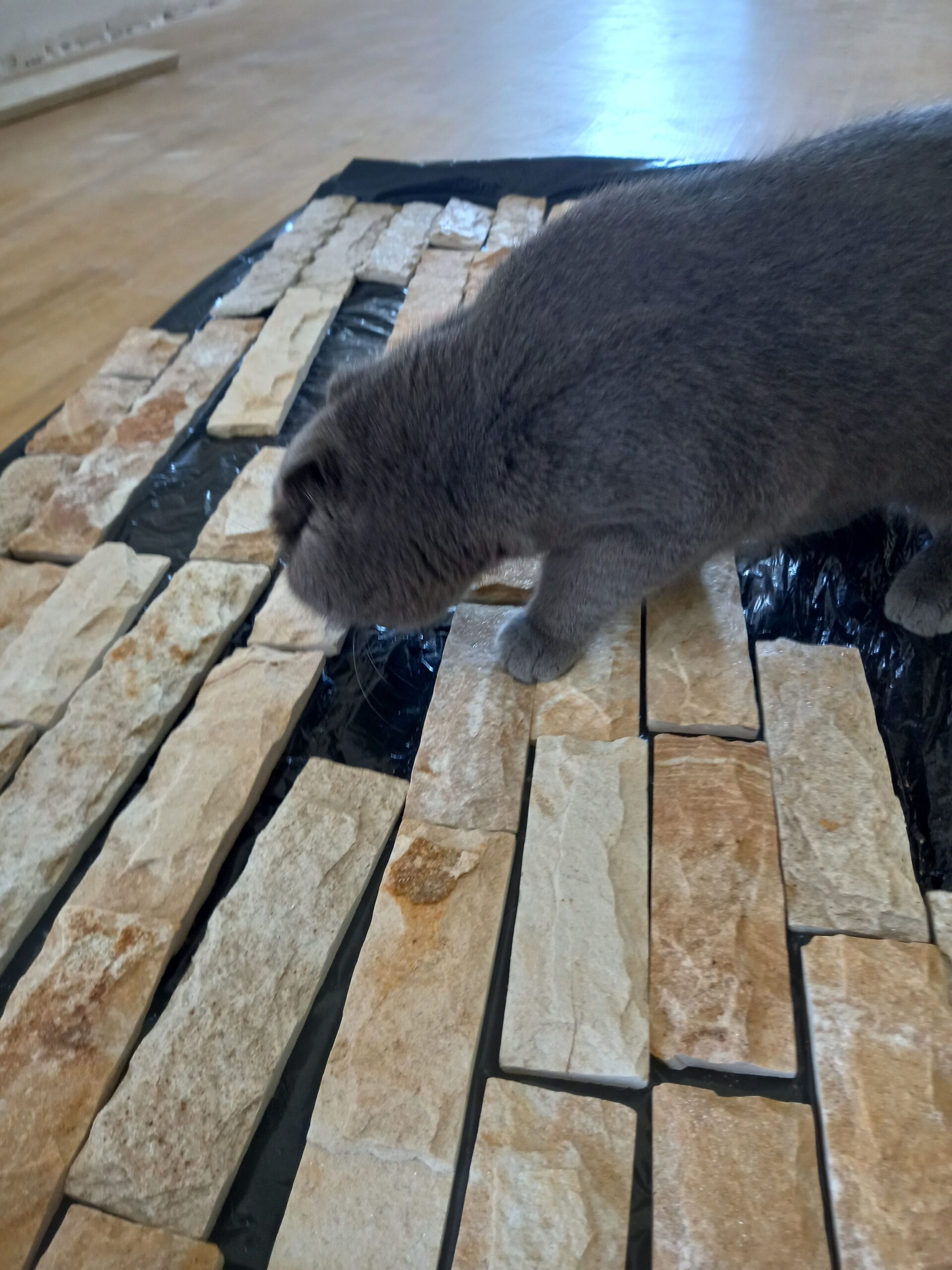 Ремонт квартир,домов .Т 078789093.