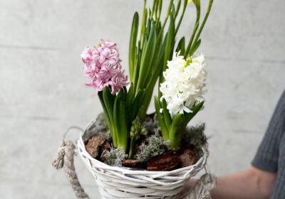 WhatsApp-Image-2024-02-09-at-19.18.28