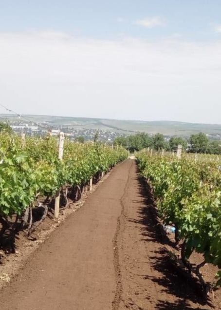 Продам участок земли в селе Бульбоака