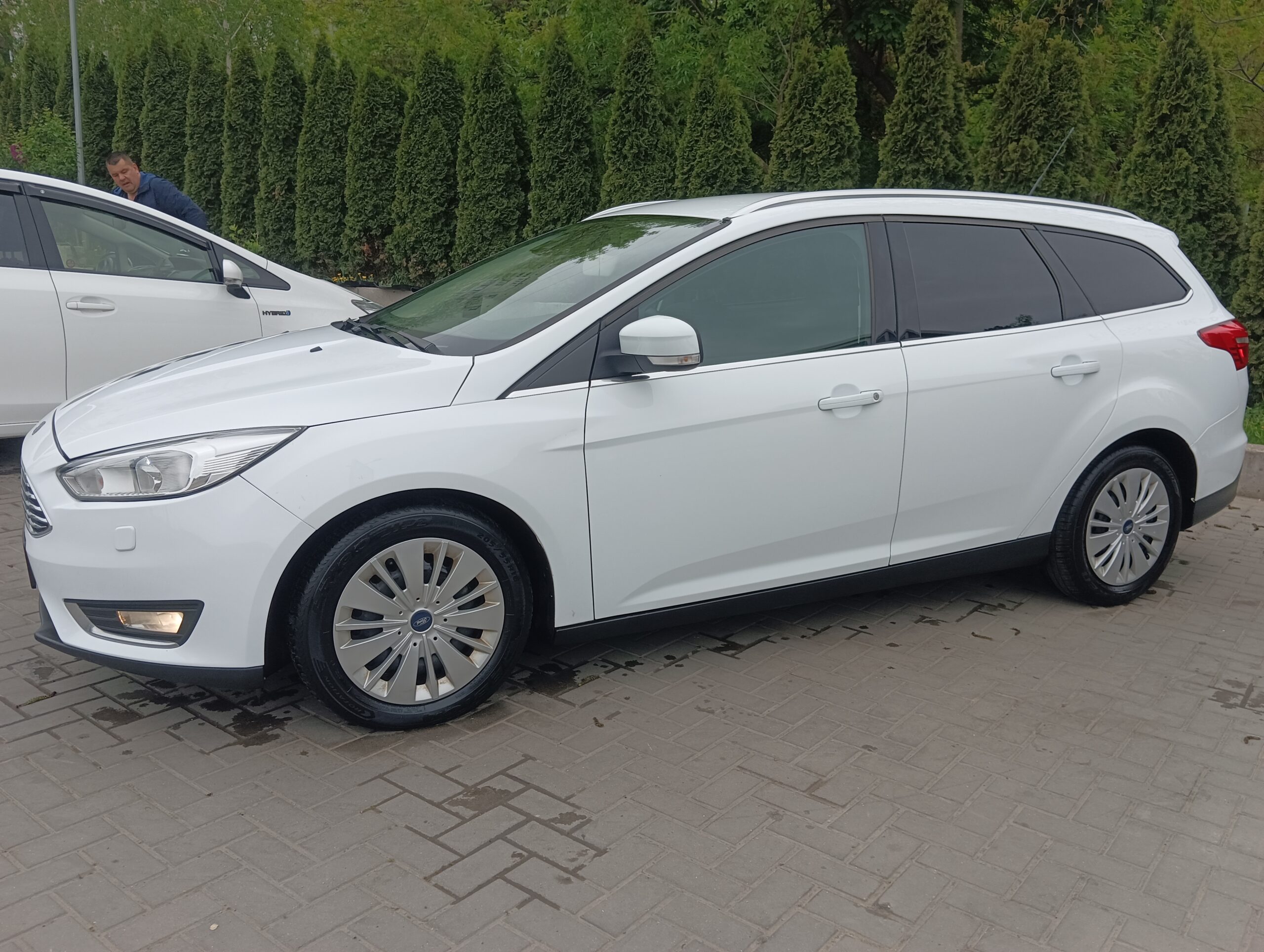 Focus mk3