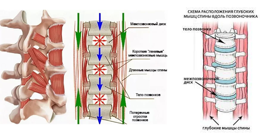 Scaun-Simulator
