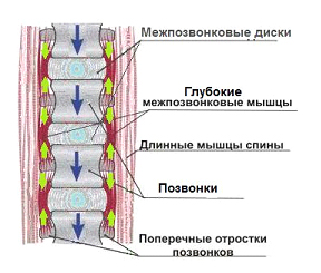 Scaun-Simulator