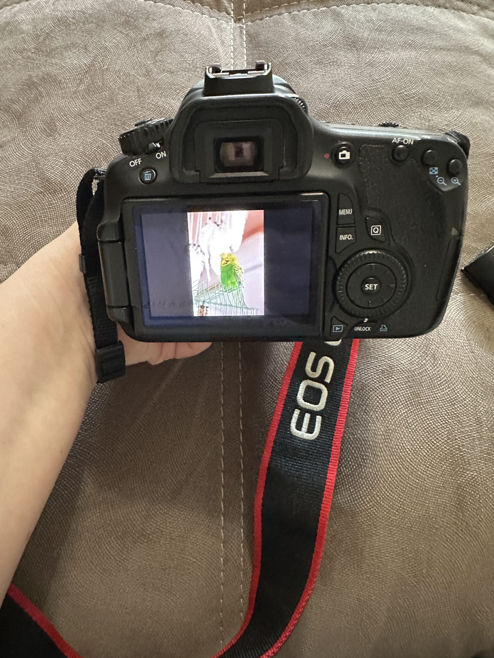 Canon 60D