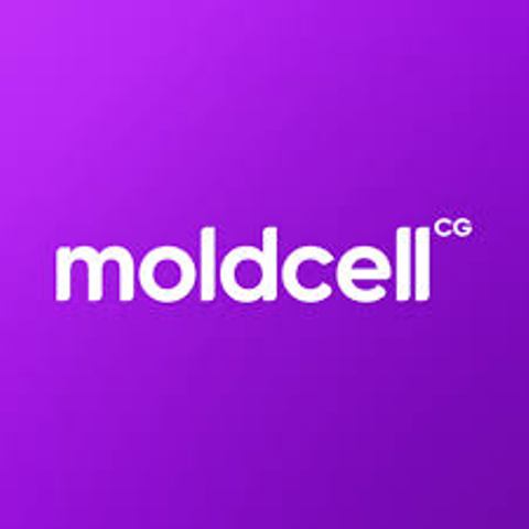 Красивый номер Moldcell 07х 196040