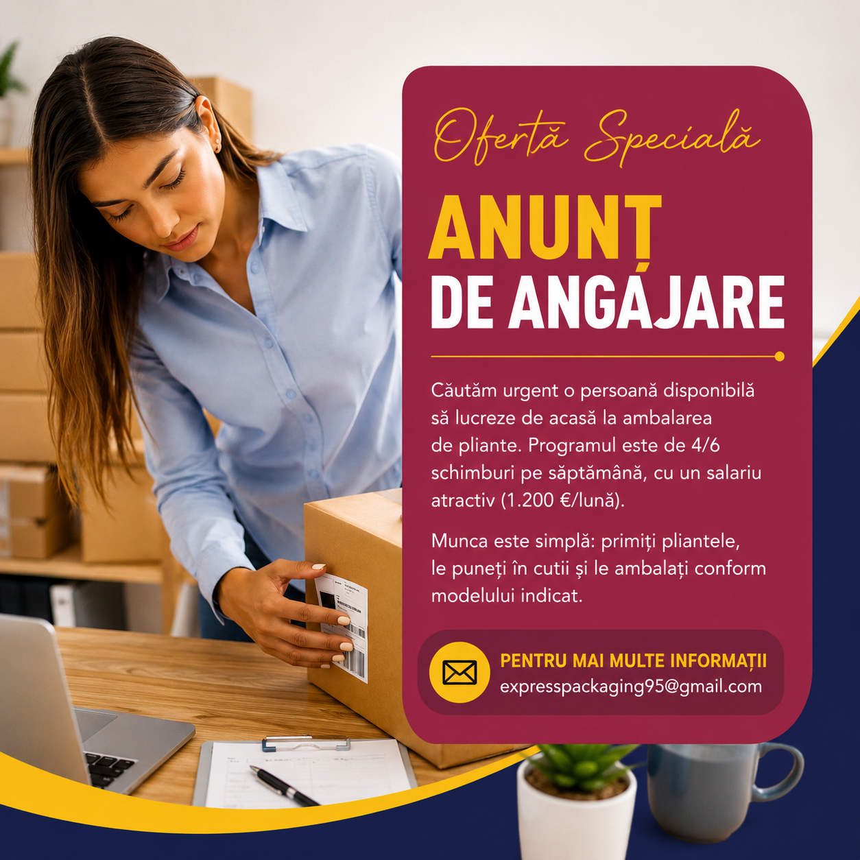 Ambalaj pentru joburi/pliante pentru lucrul de aca