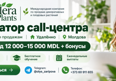 c12800e1-328f-4111-8a33-348ca6a79a95