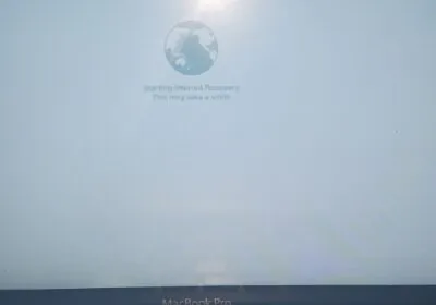 a9ed10af-983b-4385-a50b-44d8af3e3548