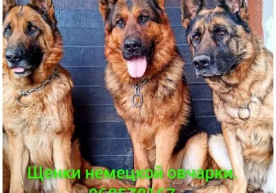 0d1f51d9-9f2b-4b79-b8b7-ac6741cf4f80