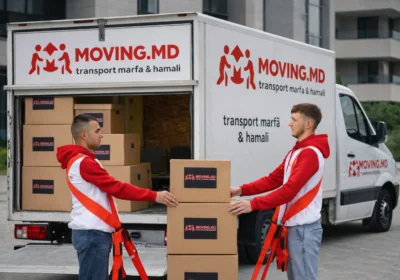 ChatGPT-Image-31-yanv.-2026-g.-16_55_30