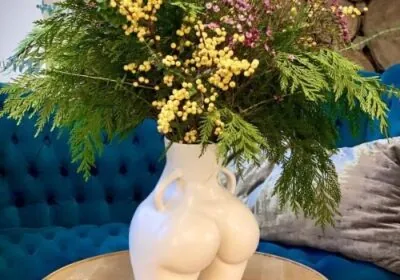 Promotii-lifting-brazilian